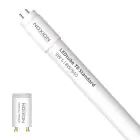 Noxion Tube LED T8 Avant (EM/Direct 230V) Standard Output 7.5W 900lm - 840 Blanc Froid | 60cm - Équivalent 18W