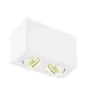 SLV Triledo Dubbel Plafondlamp Aluminium Wit 14W 1300lm 38D - 830 Warm Wit